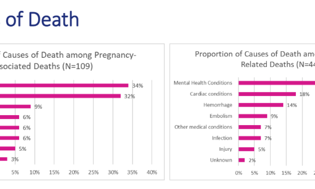 N.M. ‘far above the national rate’ even as maternal deaths increase across the country – Source New Mexico